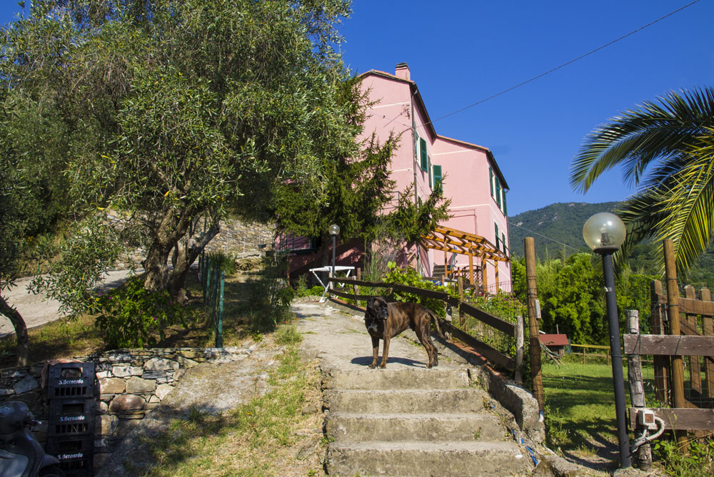 L'Agriturismo Le Grigue è condotto da Christiane e Bruno Baldini