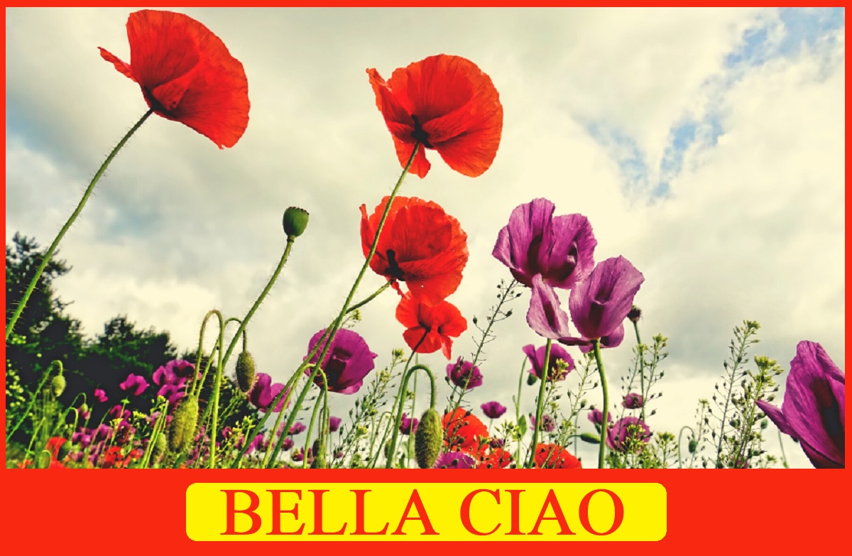 Bella Ciao è una delle canzone diventate simbolo della Resistenza