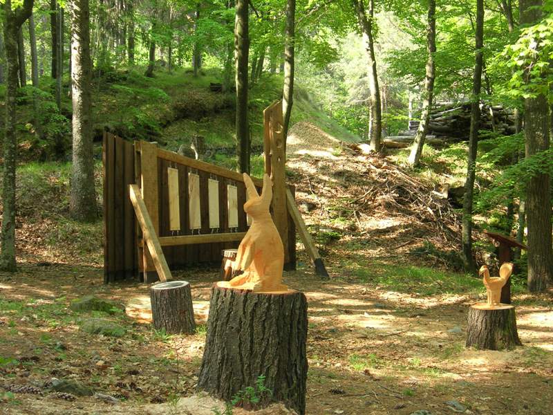Il Museo del Bosco torna a essere visitabile