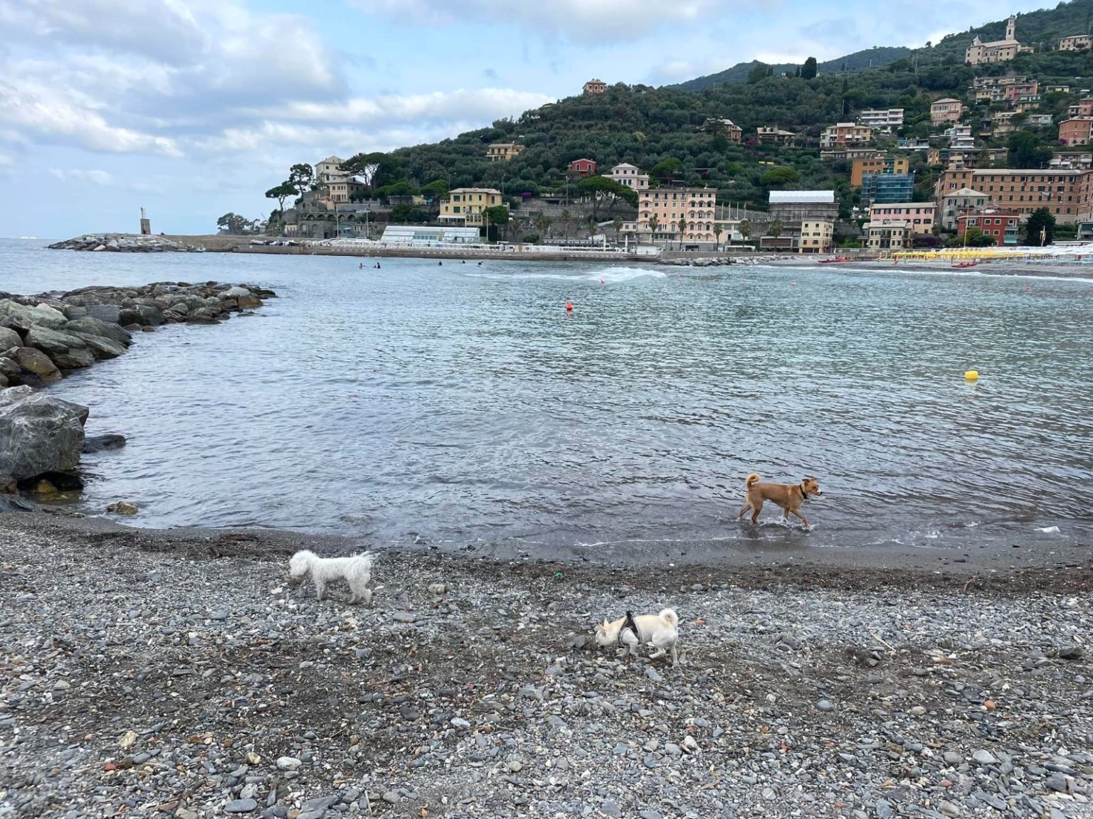 La ‘Bau Bau Beach’ di Recco compie dieci anni: sarà fruibile sino al prossimo 30 settembre