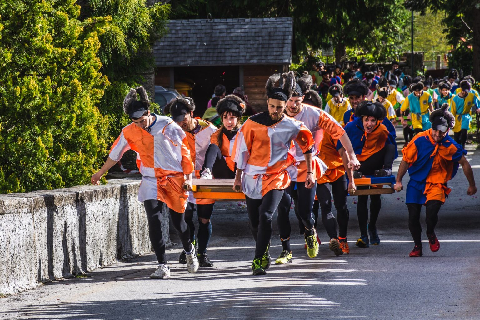 Il Palio dell'asino finito nel mirino delle proteste da parte degli animalisti