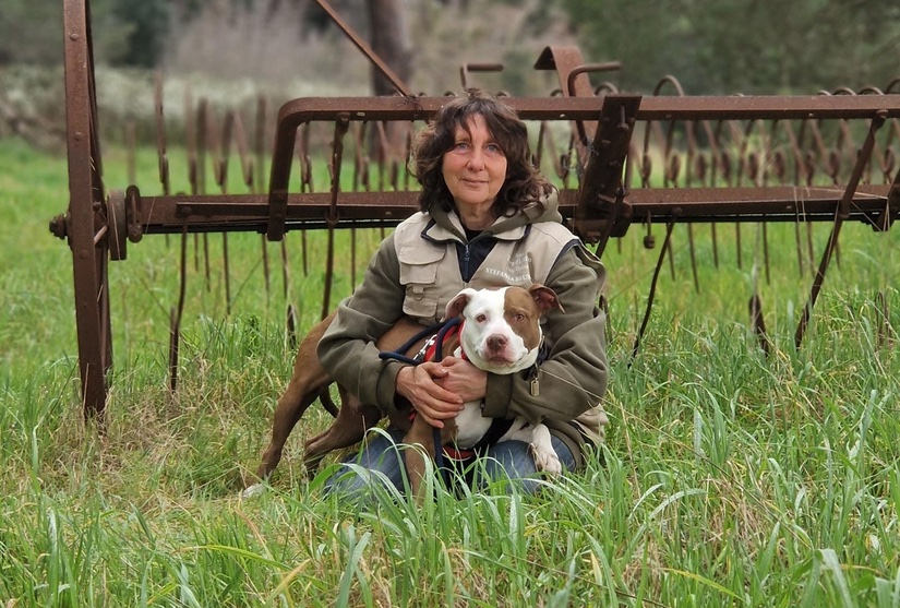 Il Cane delle Alpi Apuane sarà protagonista di un raduno ad Avegno