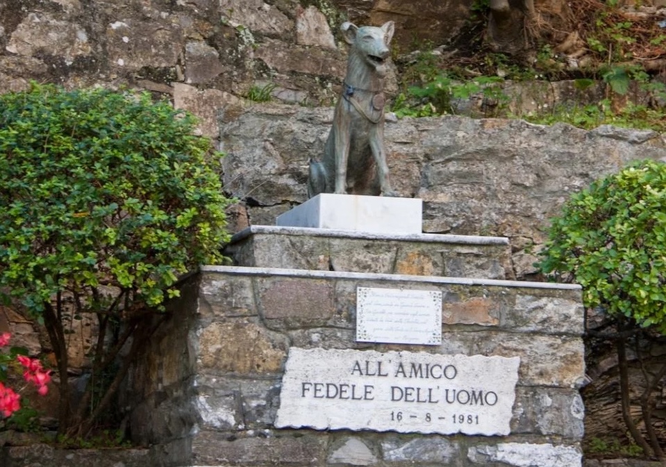 Tutto pronto a San Rocco di Camogli per l'edizione 2024 del Premio Fedeltà del Cane