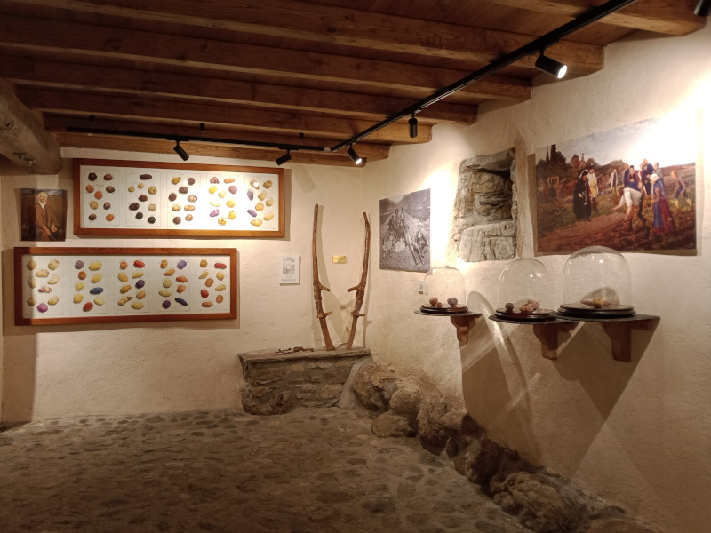 La Casa dei Semi del Consorzio della Quarantina