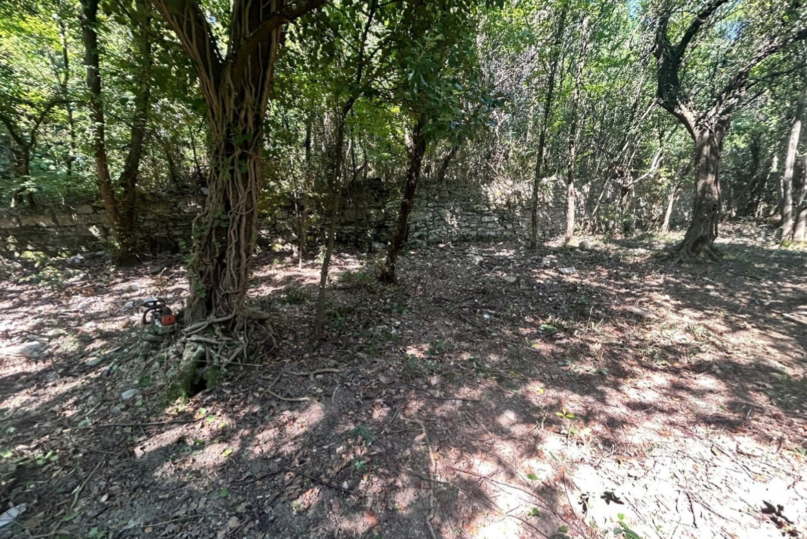 L'area del Parco di Portofino dove dovrebbe sorgere l'aula in natura