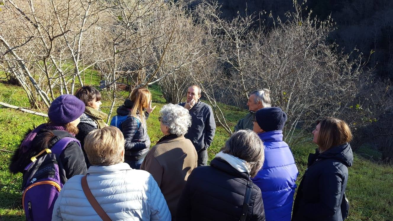 Una visita guidata a un noccioleto del nostro entroterra