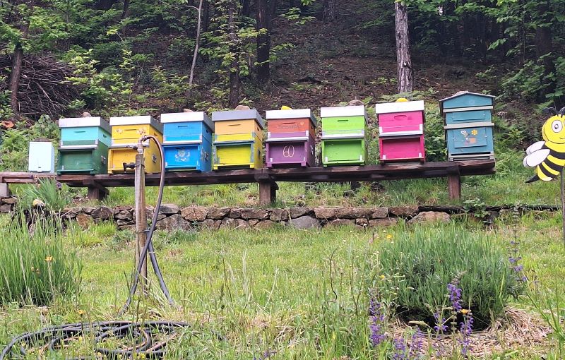 Saranno ben centododici produttori a sfidarsi per il titolo di miele più buono della Liguria
