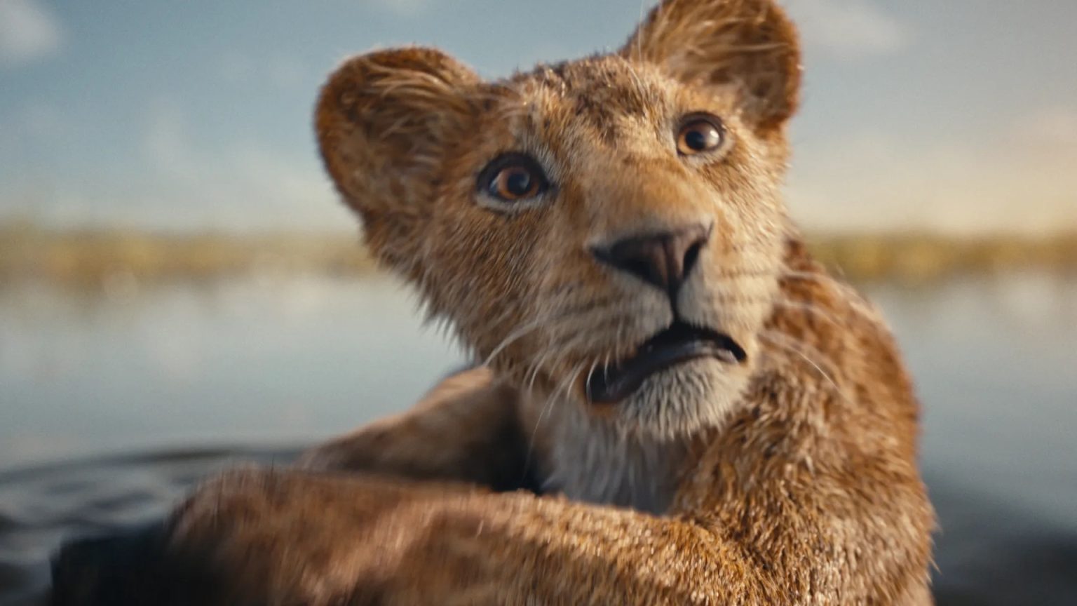 'Mufasa' è uno dei film in programmazione al cinema in questo periodo natalizio