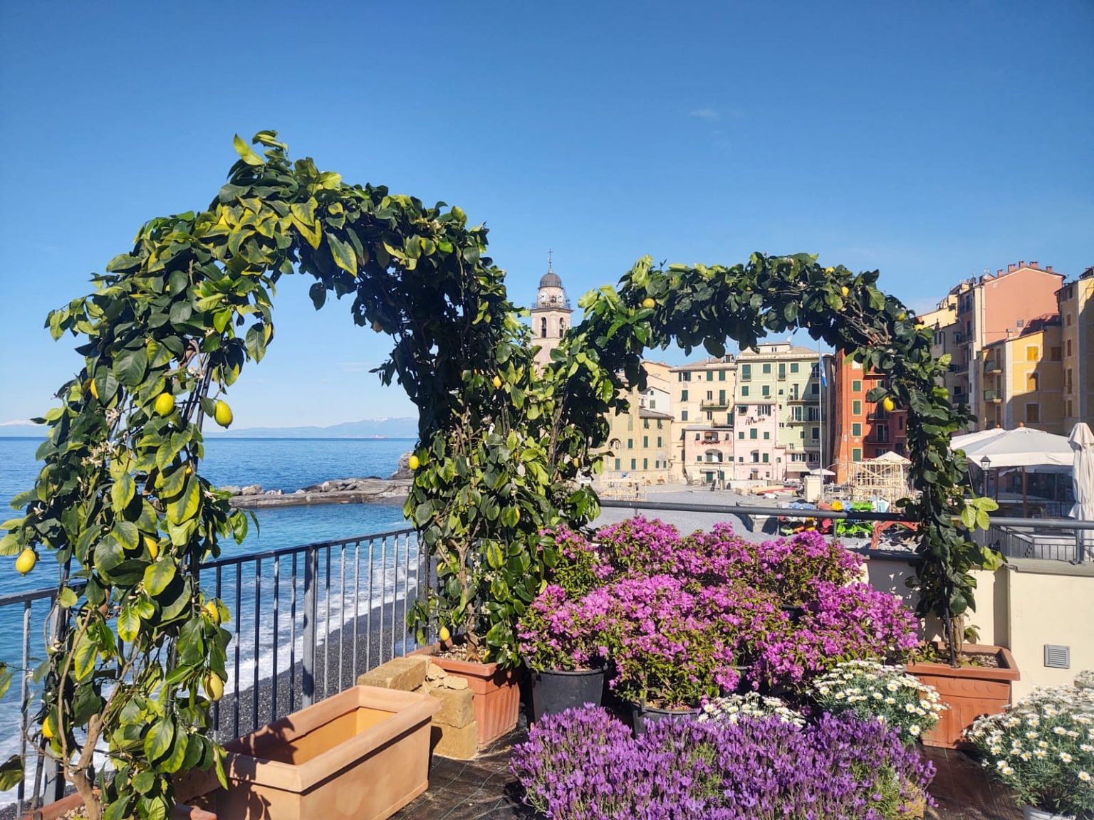 Camogli sarà ospite al Festival del Verde e del Paesaggio che si terrà a Roma