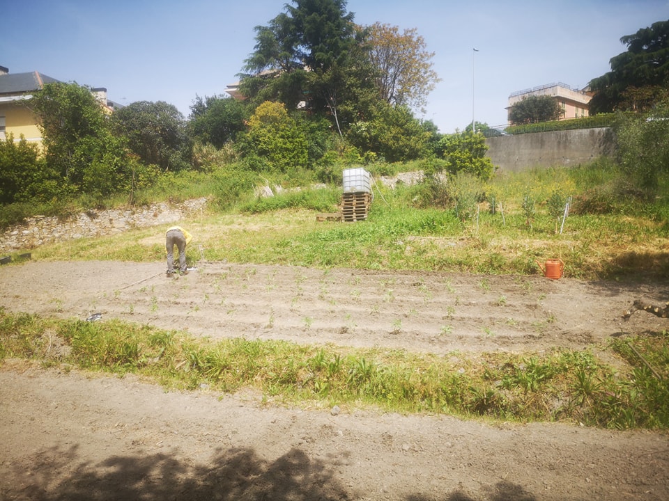 I Tesori di Levante, l’agricoltura di Mattia Di Tullio che sa rispettare la natura