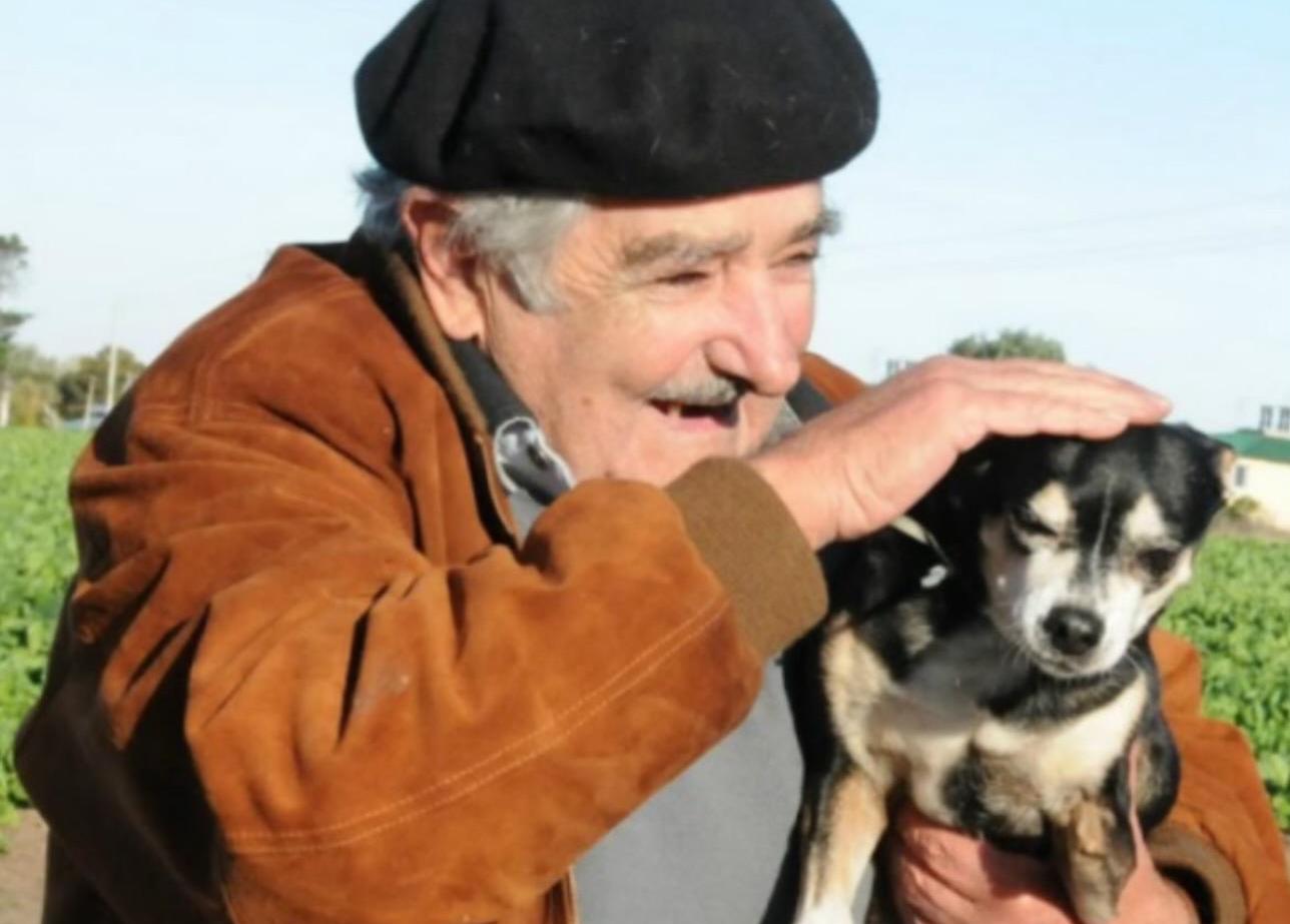 Pepe ha voluto esser deposto di fianco alla sua amata cagnolina a tre zampe Manuela