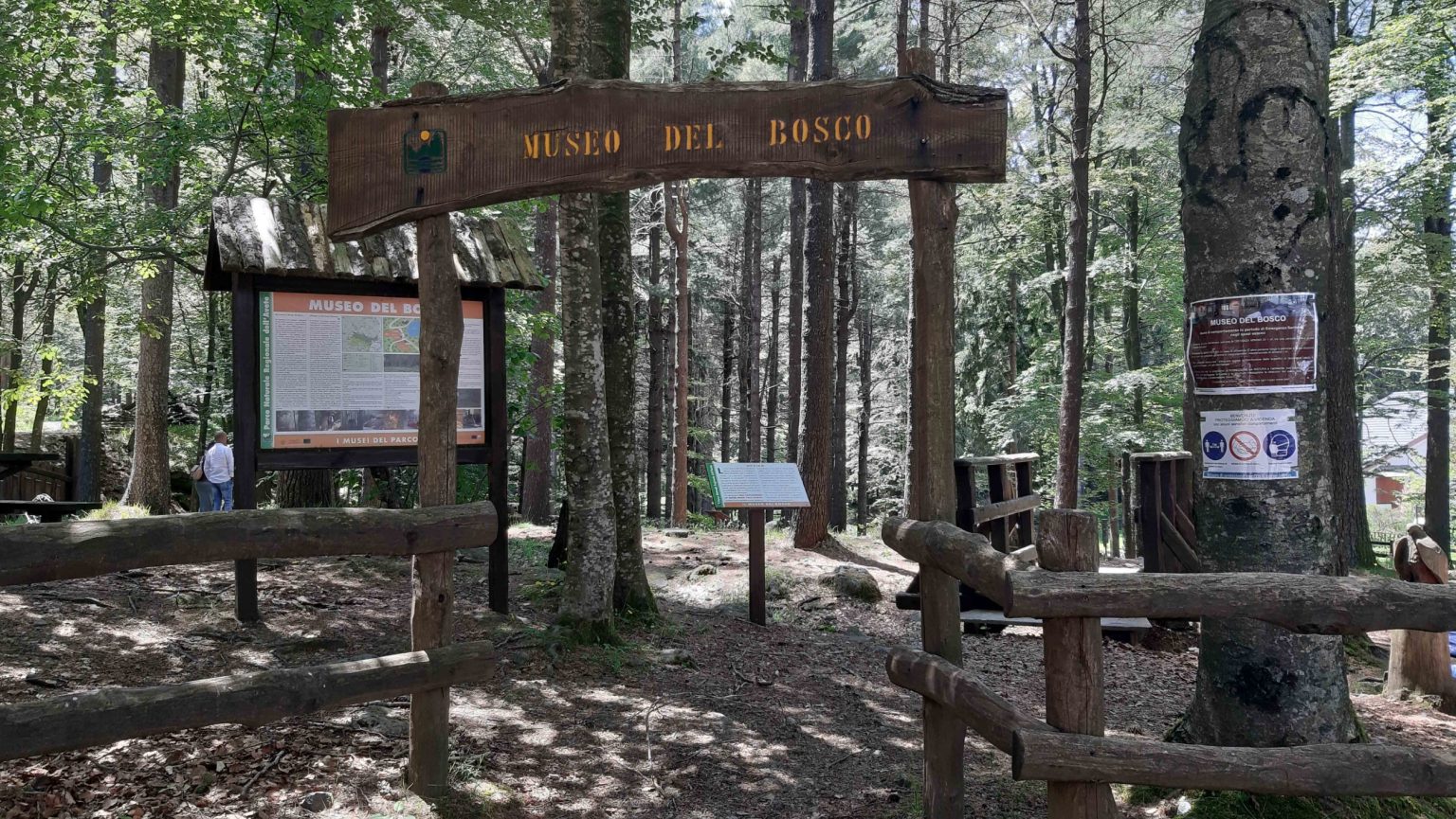 Il Museo del Bosco è una delle realtà curate dalla Fondazione Bosco Fontana