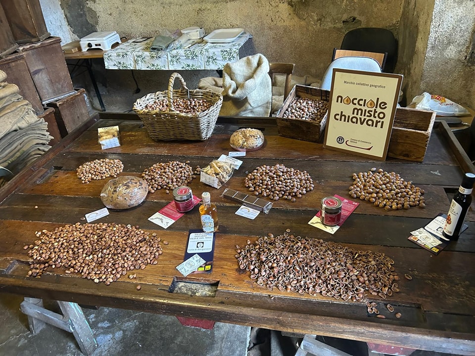 Compie passi in avanti il Museo della Nocciola a Mezzanego