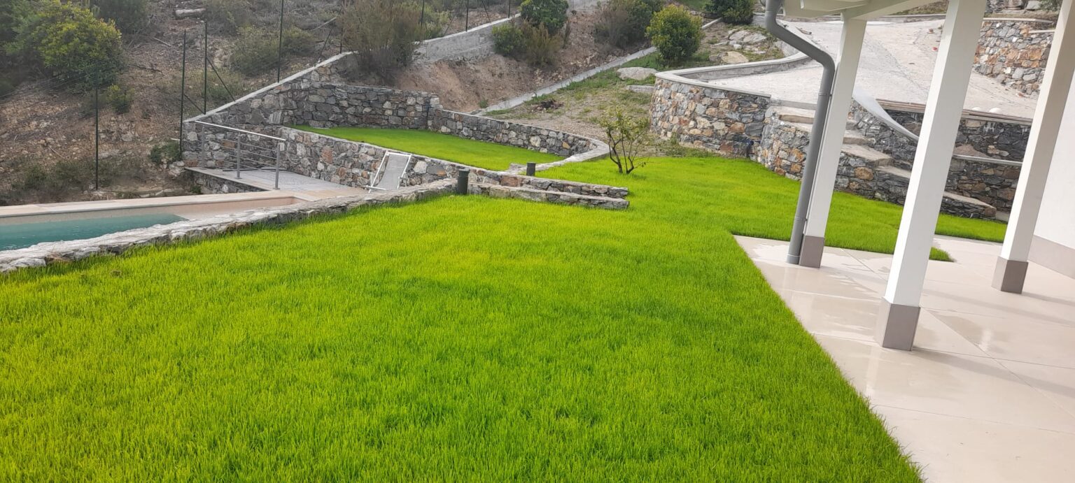 Tigullio Verde, azienda guidata da Andrea Viale, si occupa di giardinaggio e servizio potature