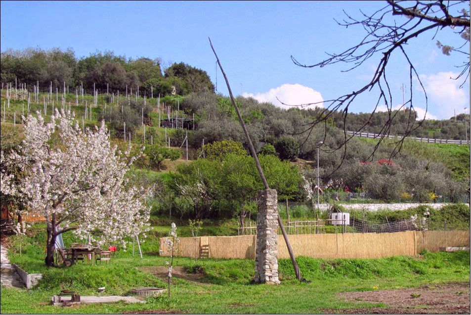 Le coltivazioni del nostro territorio sono garantite dalla grande presenza di acqua