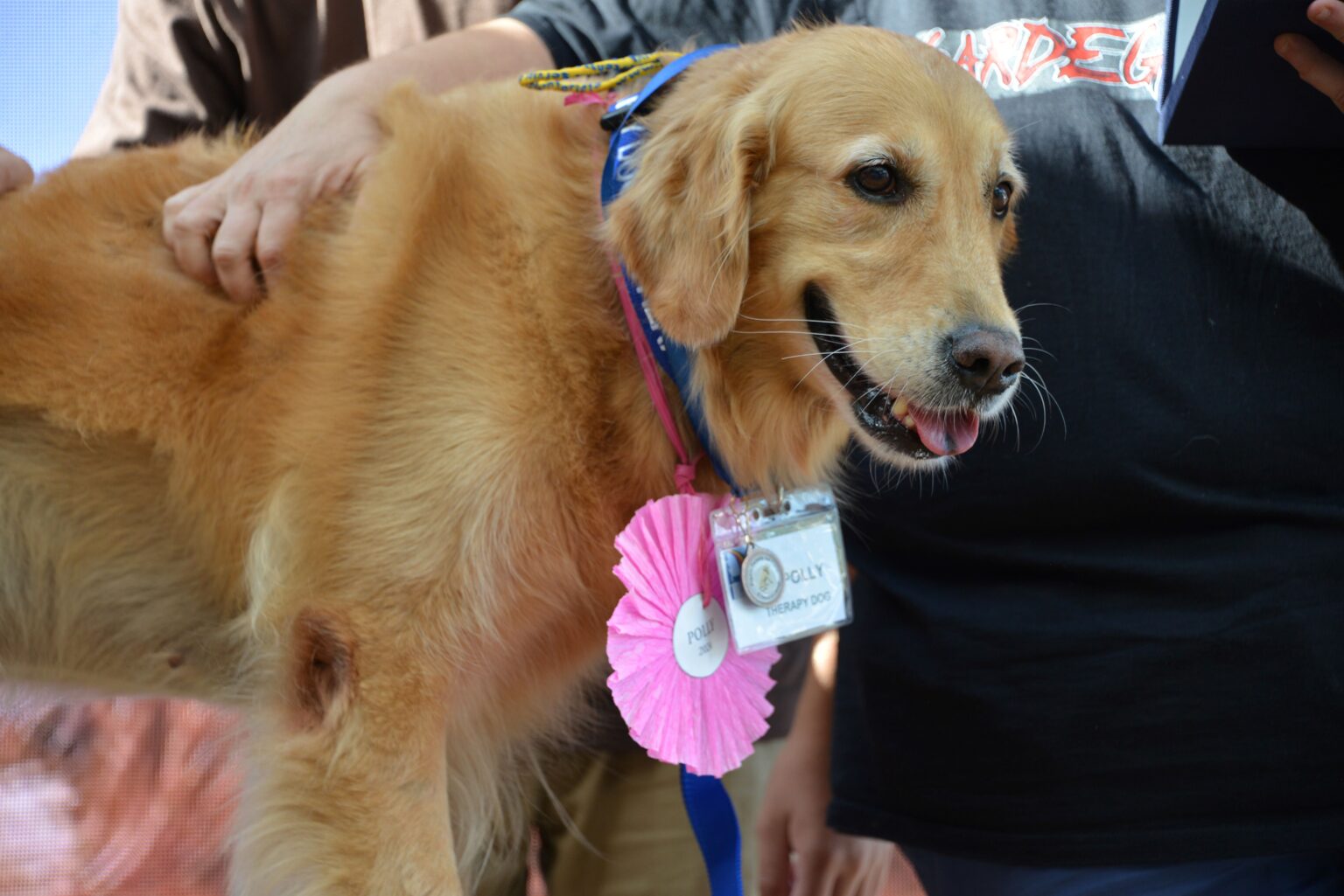 A Camogli nasce anche un progetto di pet therapy pensato per le scuole