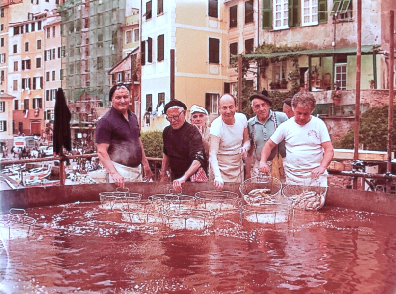 Una foto storica della Sagra del Pesce di Camogli. Siamo giunti all'edizione numero 74