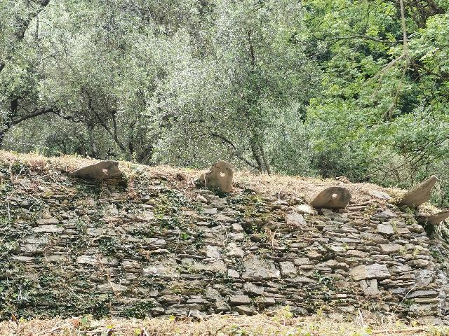 Ogni comunità umana che si insedia su di un territorio da subito inizia a realizzare un paesaggio