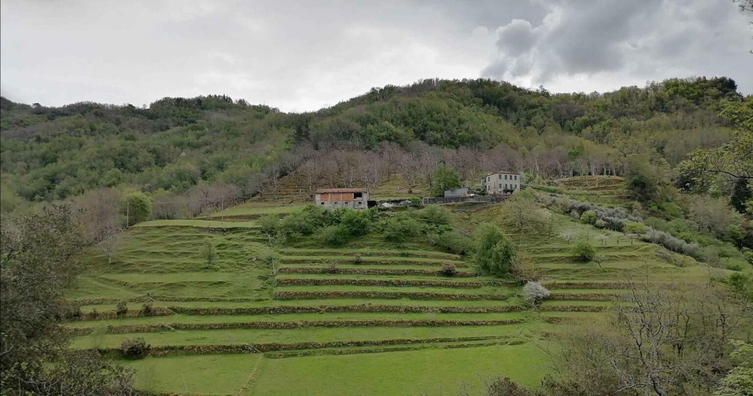 La Valle Sturla ricopre una particolare importanza, dal punto di vista del paesaggio