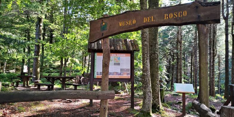 Il Museo del Bosco al Lago delle Lame torna con le sue aperture estive