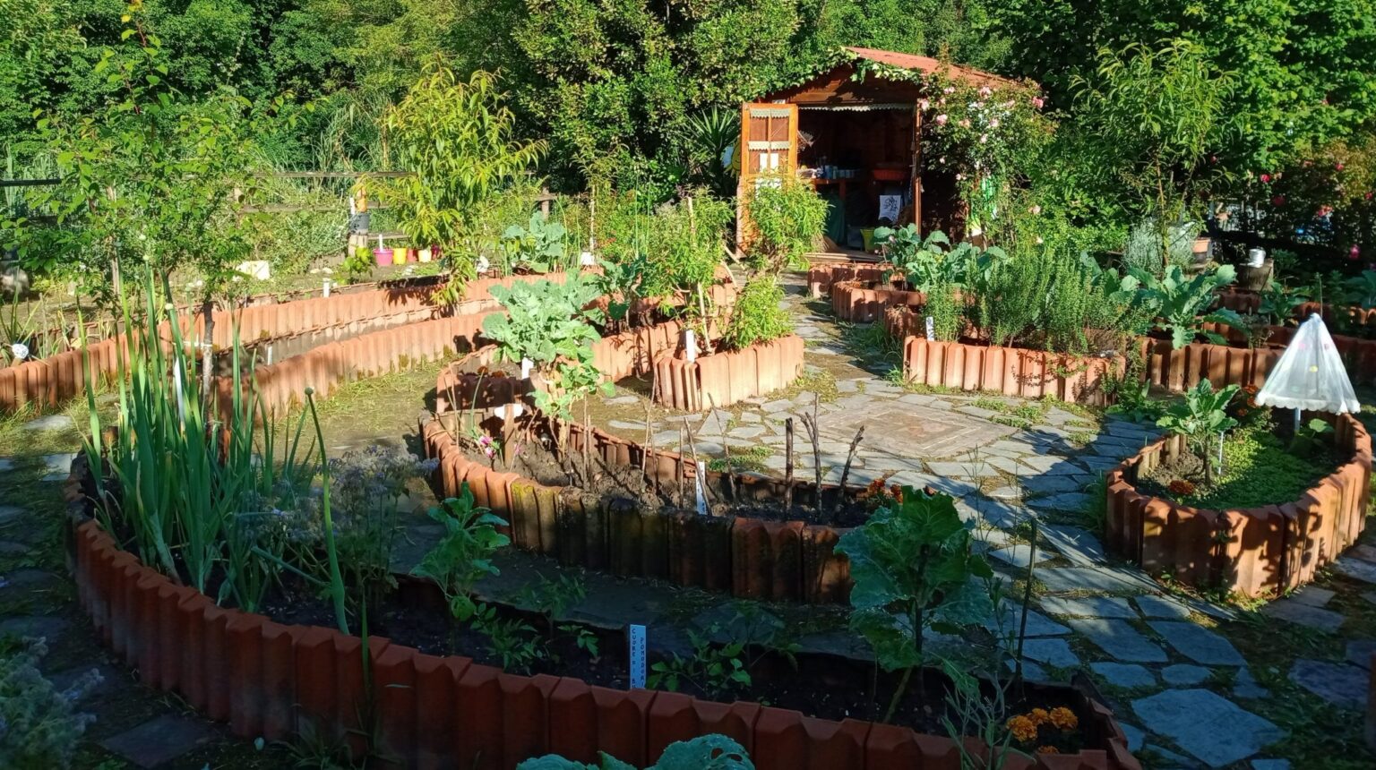 'Orto in condotta', iniziativa in occasione della Giornata Nazionale della Biodiversità di Interesse Agricolo e Alimentare