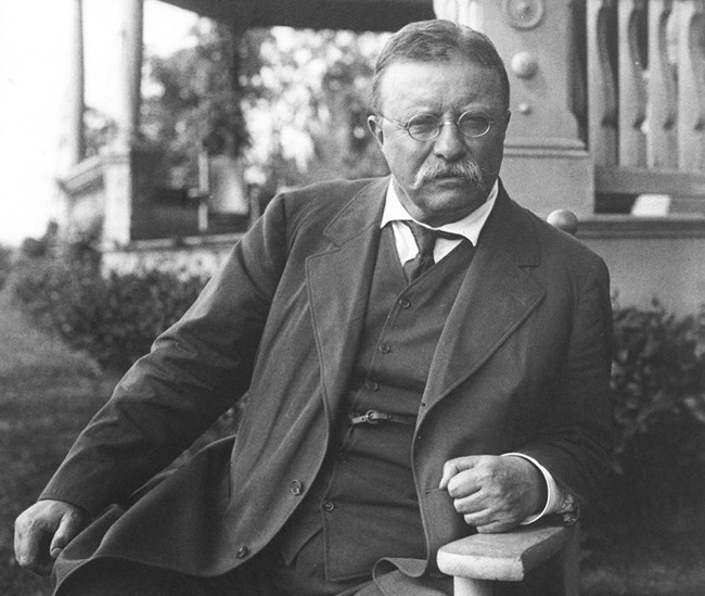 Teddy Roosevelt, il presidente americano che per primo pensò all'ambiente