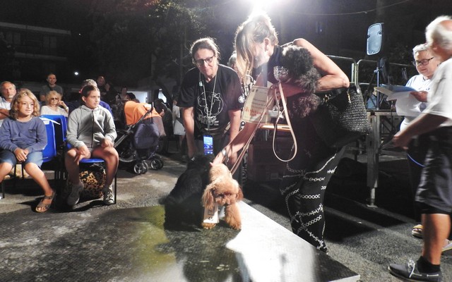 Patrizia Bandettini Di Poggio è la ideatrice del Dog Pride di Recco