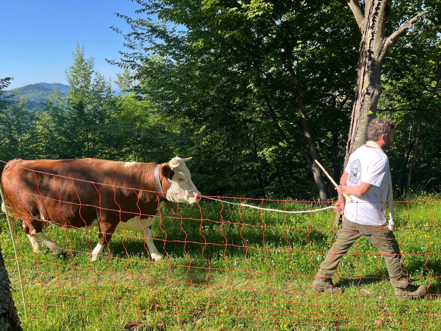 La Festa d'Autunno si terrà a uscio domenica prossima